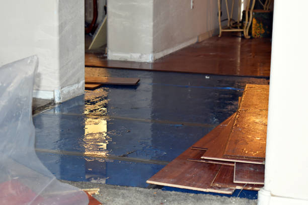 Professional Basement Flood Cleanup technician working in Gladstone, NJ